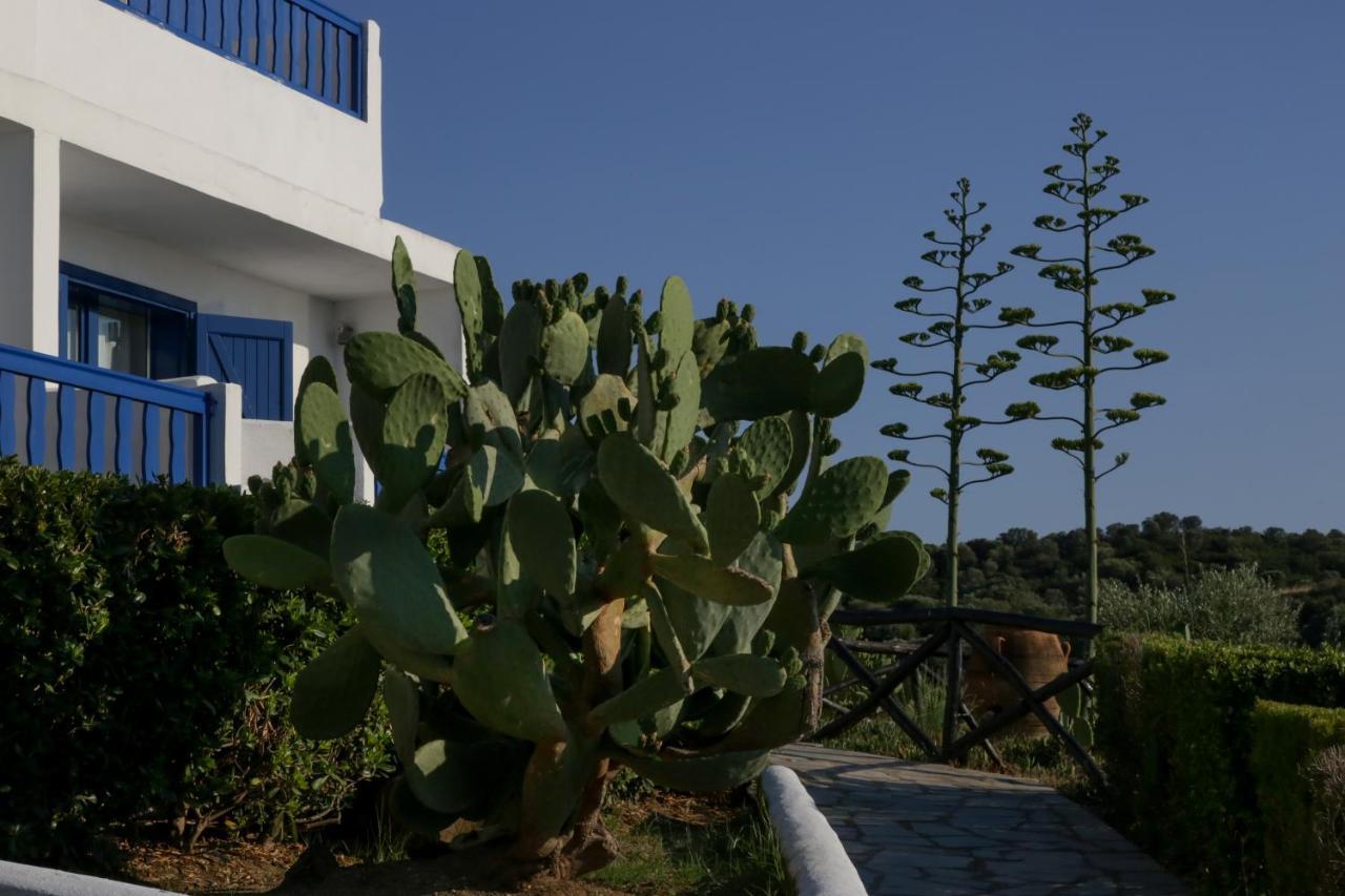 Agionissi Ammouliana